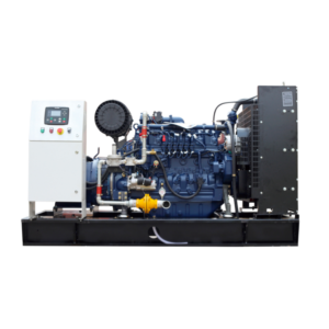 Biogas Generator Set