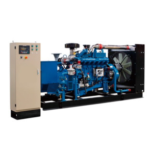 Biomass Gas Generator Set