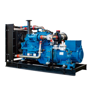 LPG Generator Set