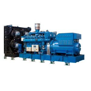 Natural Gas Generator Set